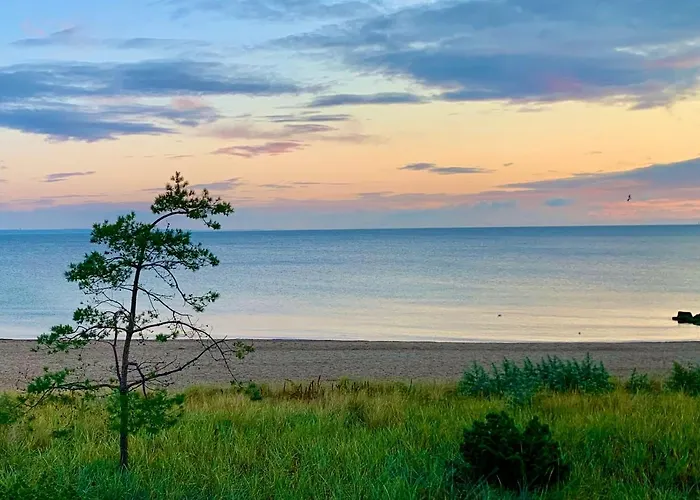 Appartement Goldmaedchen 93 - House *